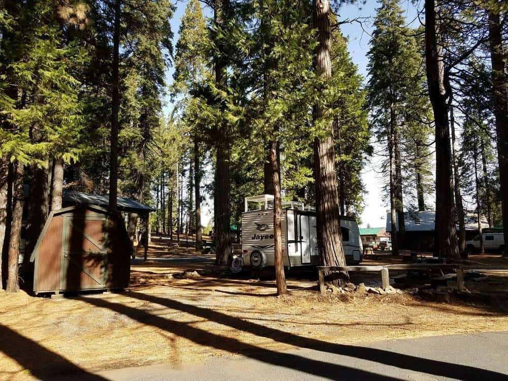 Golden Pines RV Resort and Campground