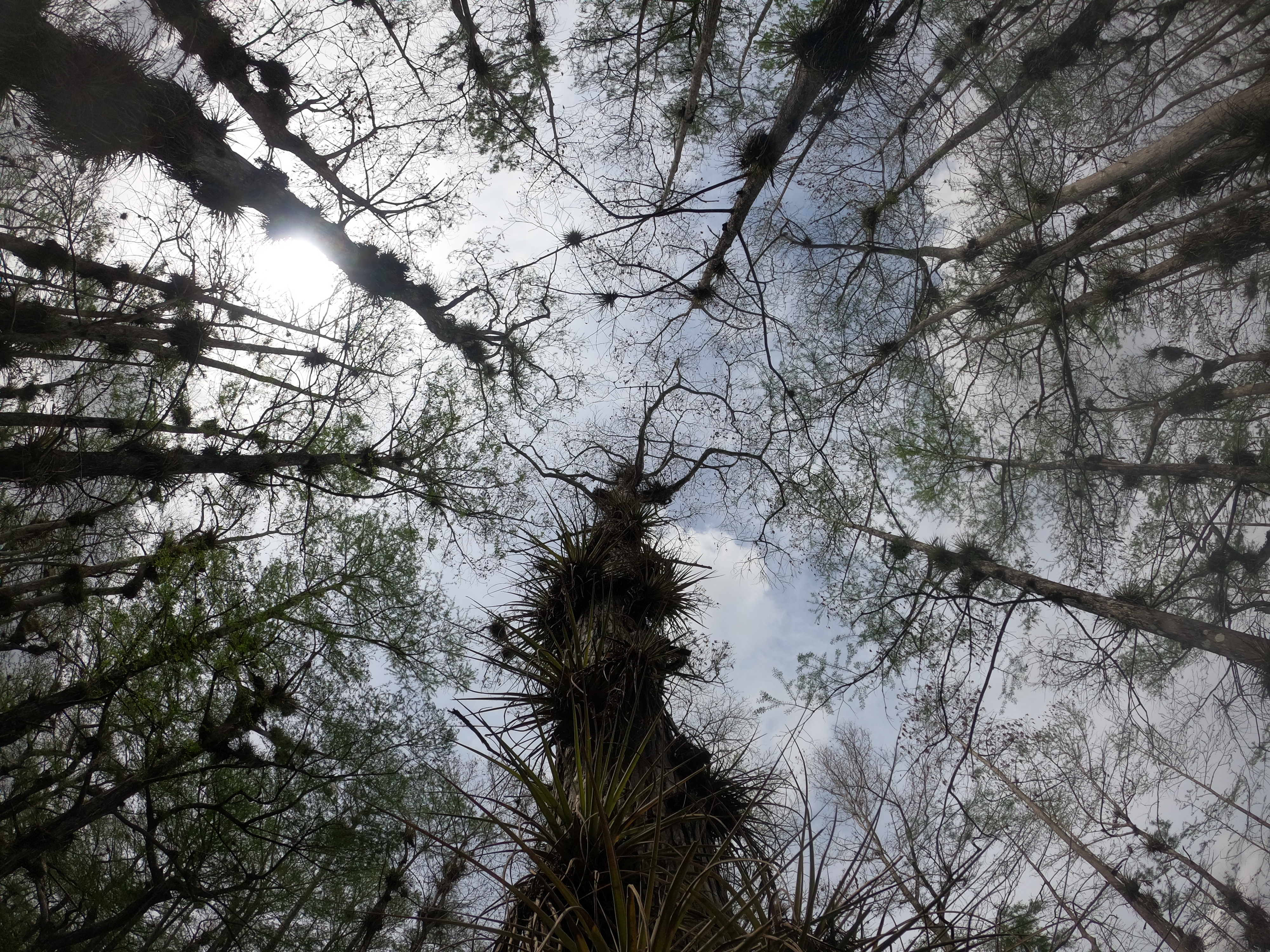 Monument Lake Campground