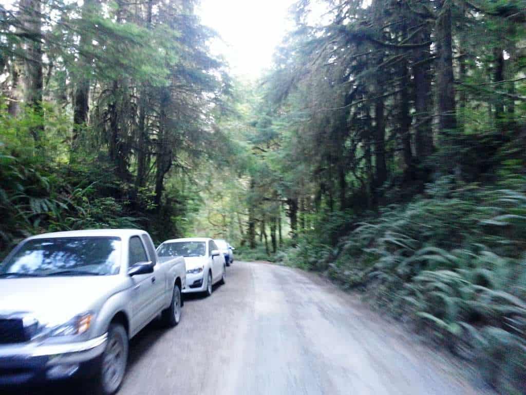 Graves Creek Campground