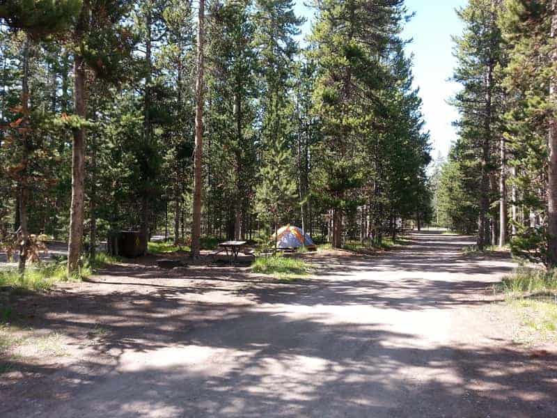 Headwaters Campground and RV Sites at Flagg Ranch