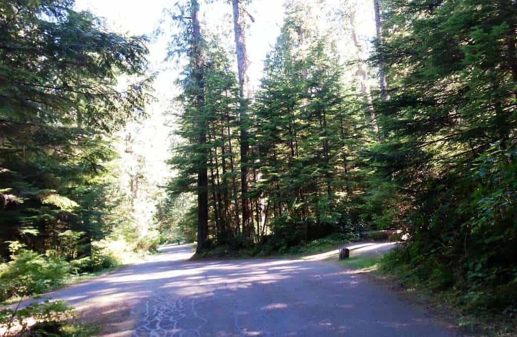 Heart O'the Hills Campground