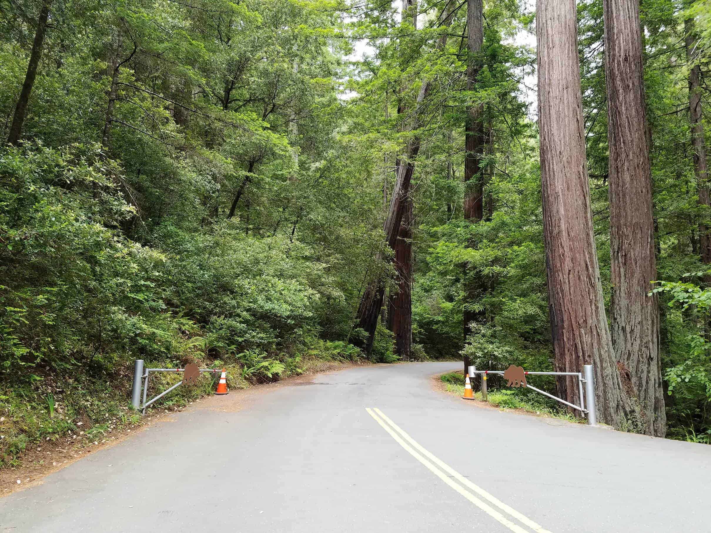 Hidden Springs Campground - Humboldt Redwoods State Park