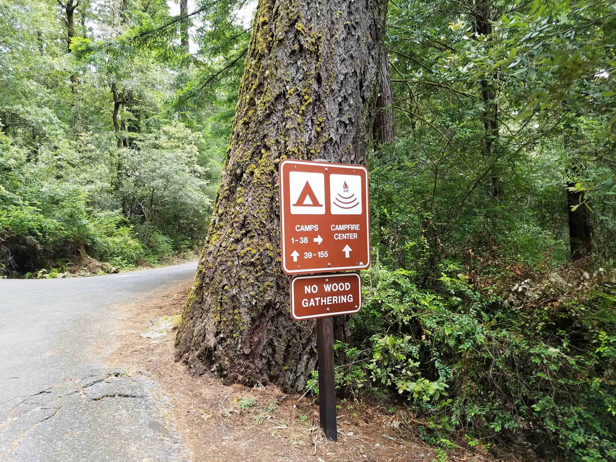 Hidden Springs Campground - Humboldt Redwoods State Park