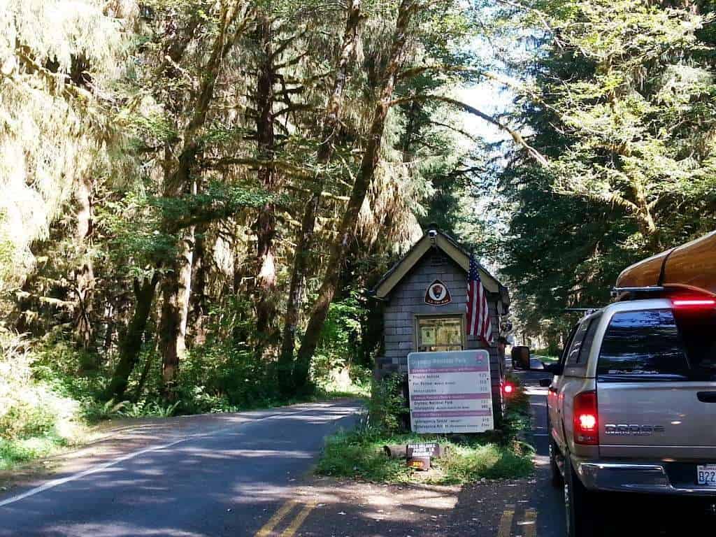 Hoh Campground