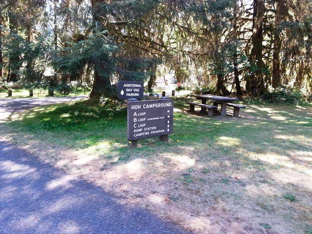 Hoh Campground