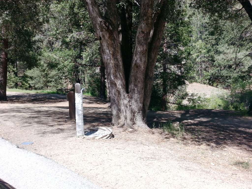 Idyllwild Park Campground