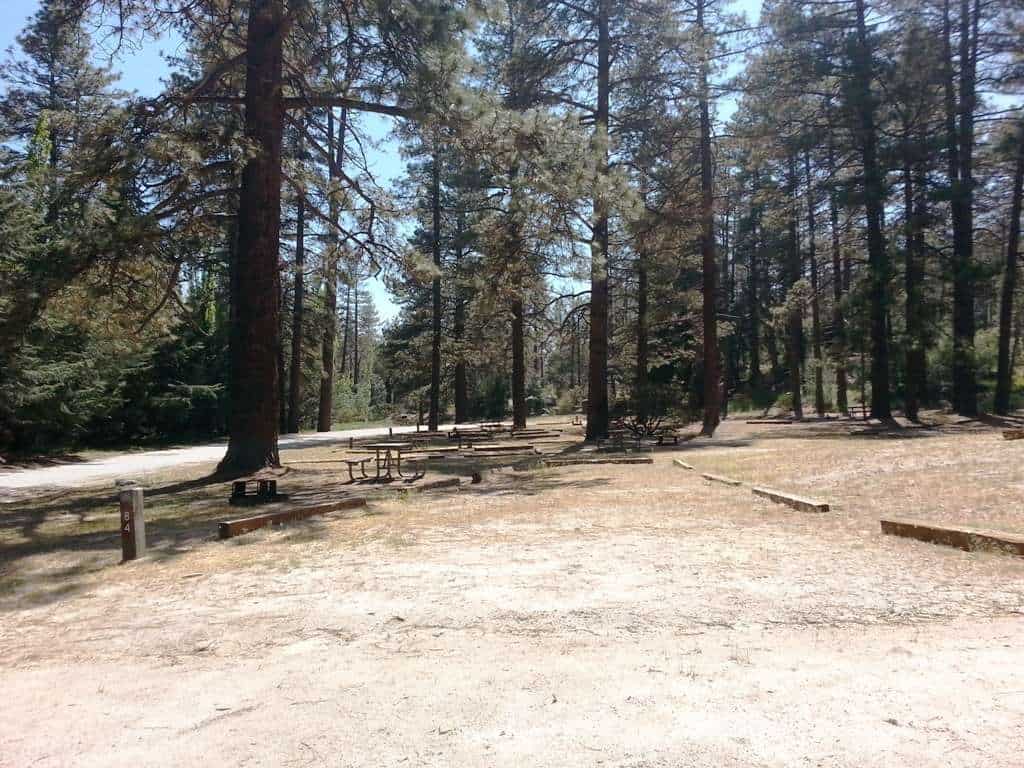 Idyllwild Park Campground