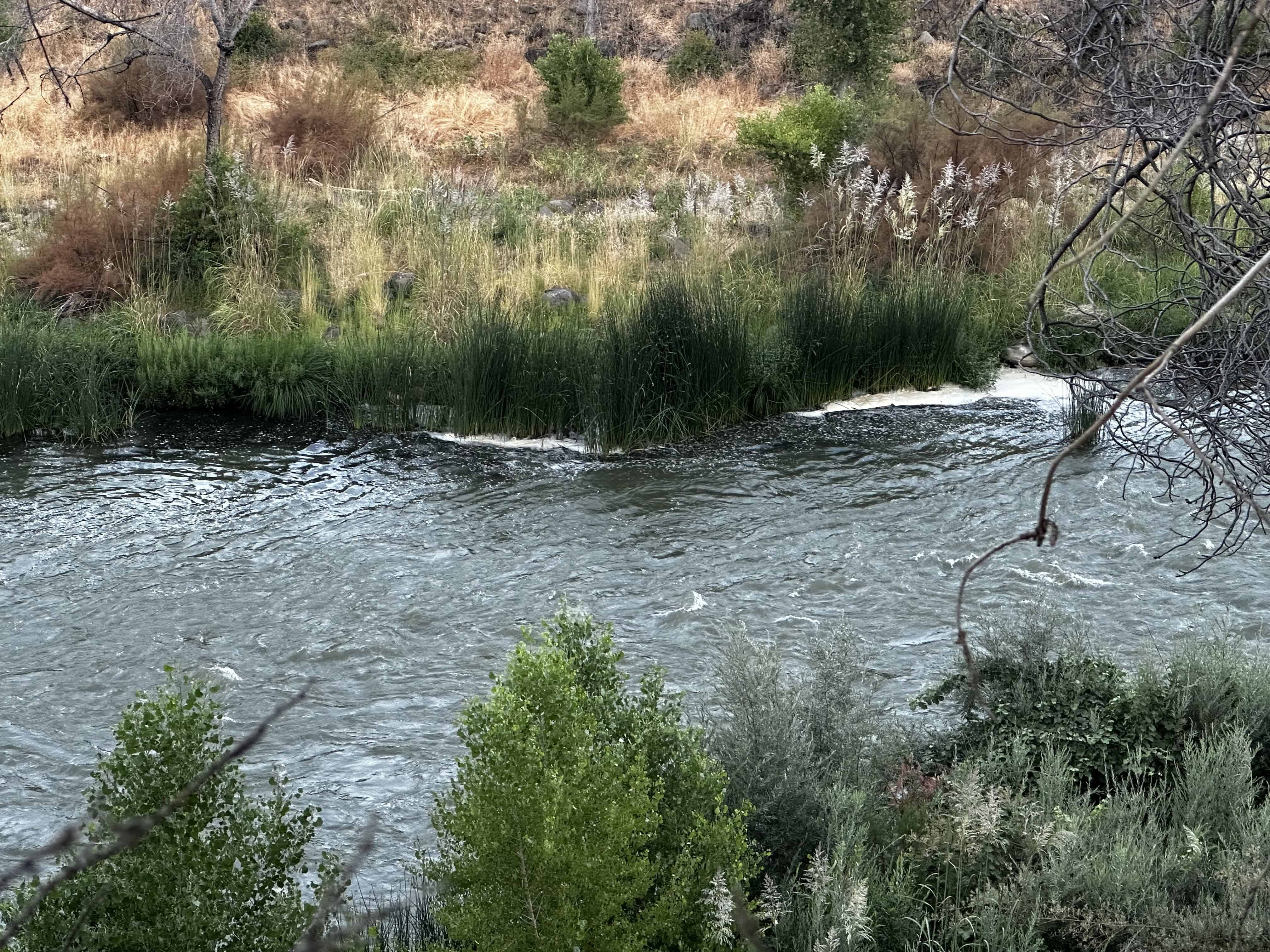 Cache Creek Regional Campground