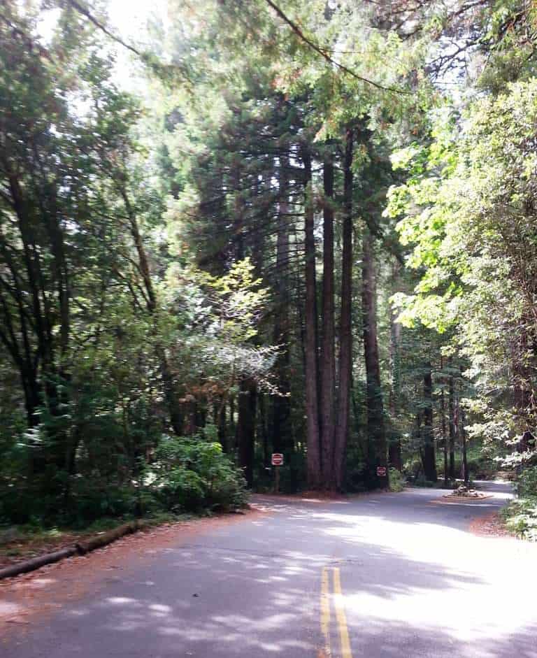 Jedediah Smith Campground