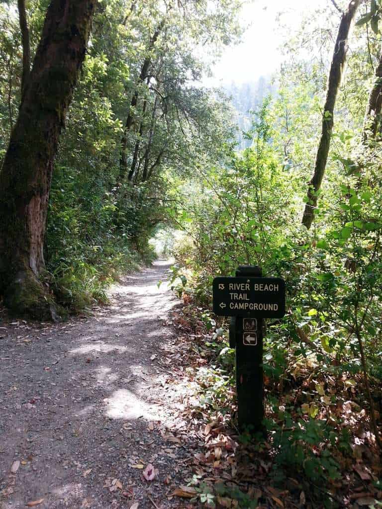 Jedediah Smith Campground