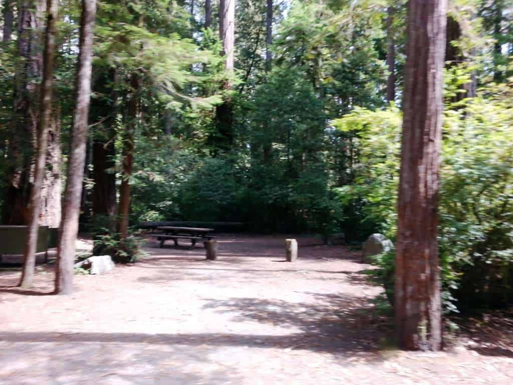 Jedediah Smith Campground