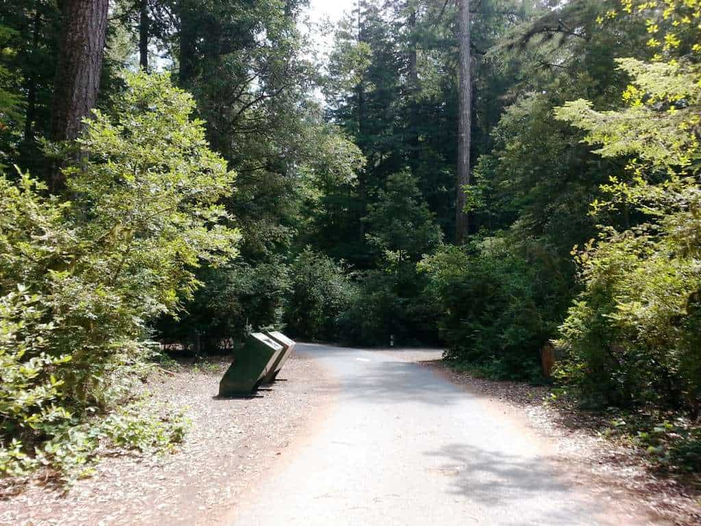 Jedediah Smith Campground