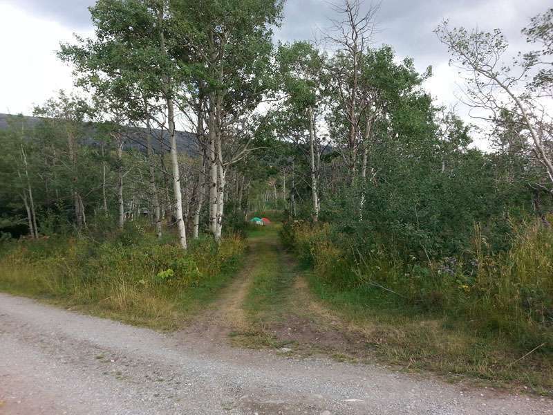 Johnson's Campground and RV Park