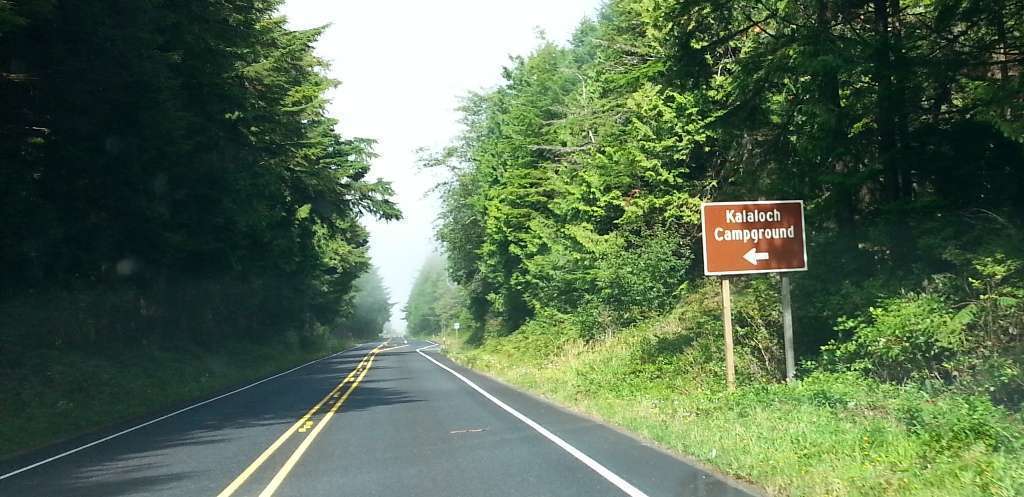 Kalaloch Campground