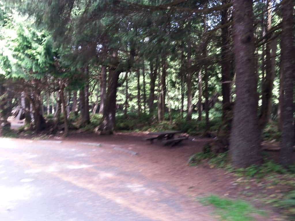 Kalaloch Campground
