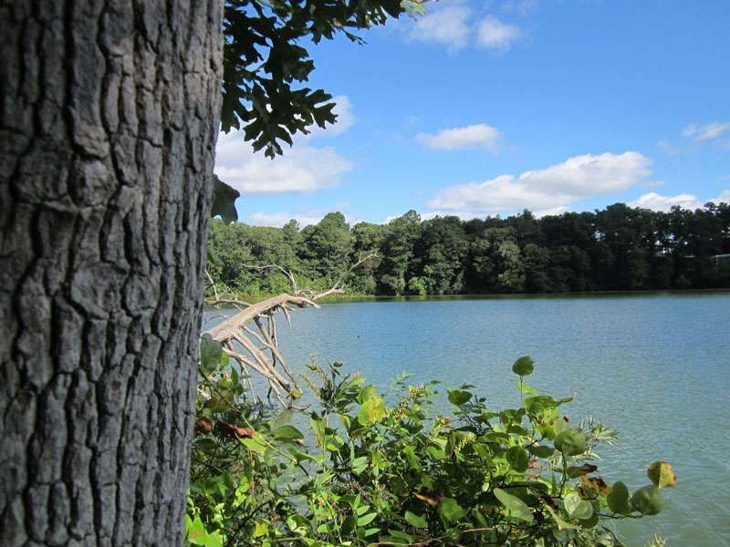 Killens Pond State Park
