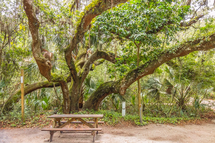 Anastasia State Park Campground