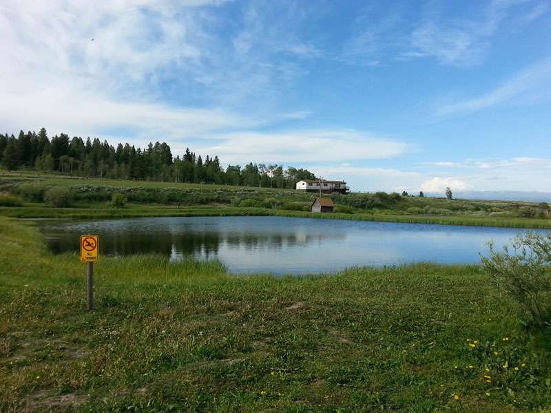Yellowstone KOA Mountainside