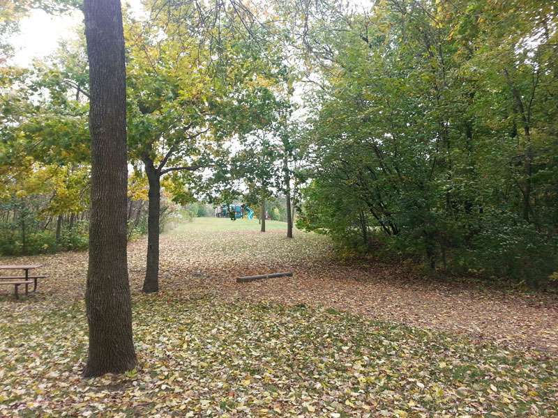 Lake Auburn Campground at Carver Park Reserve