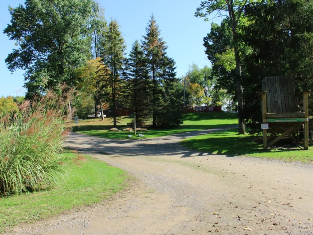 Lake Bluff Campground