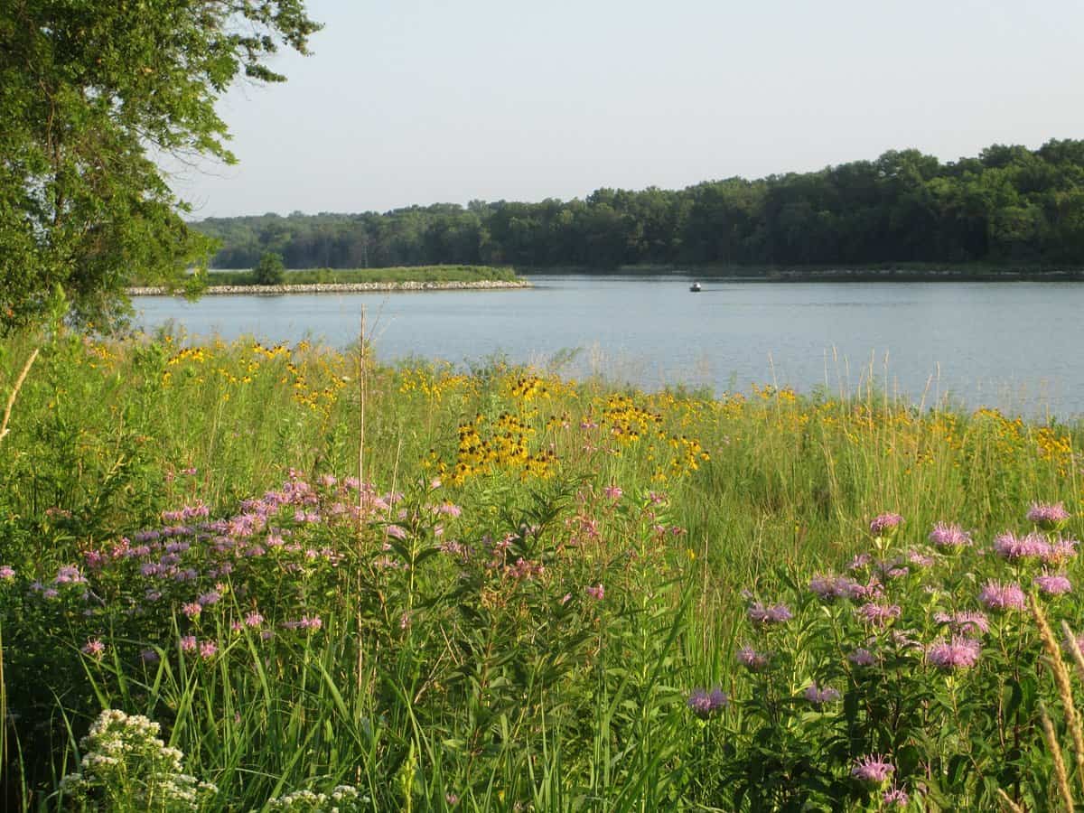 Lake Darling State Park