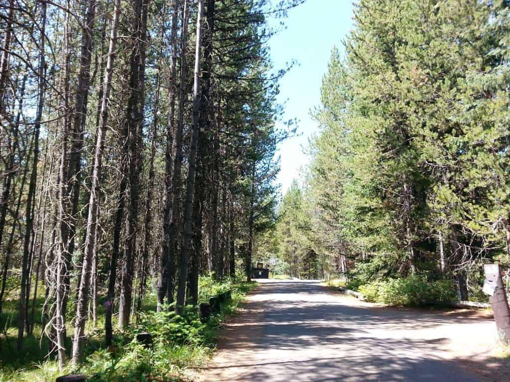 Lizard Creek Campground