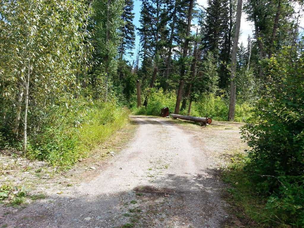 Logging Creek Campground