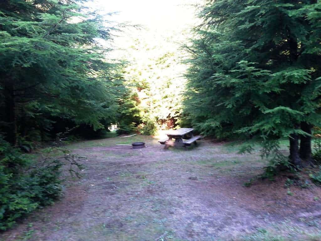 The Lost Resort at Lake Ozette