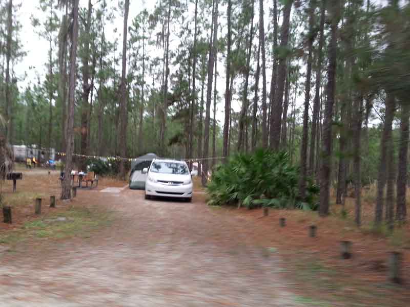 Moss Park Campground