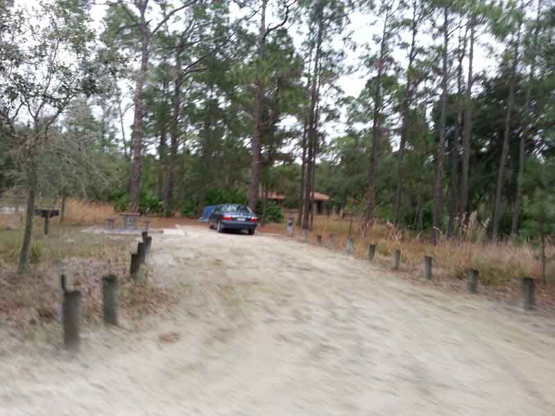 Moss Park Campground