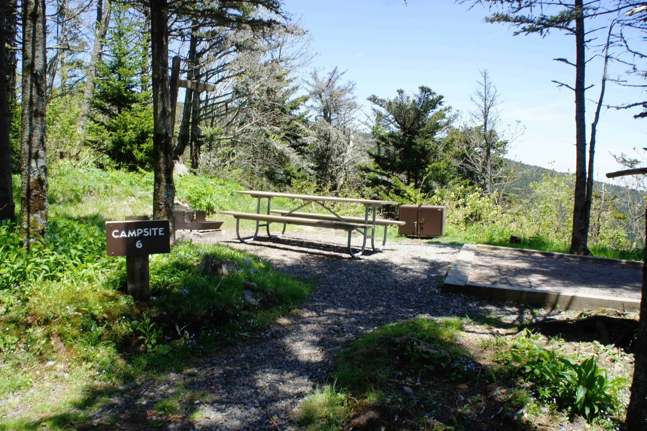 Mount Mitchell State Park Campground