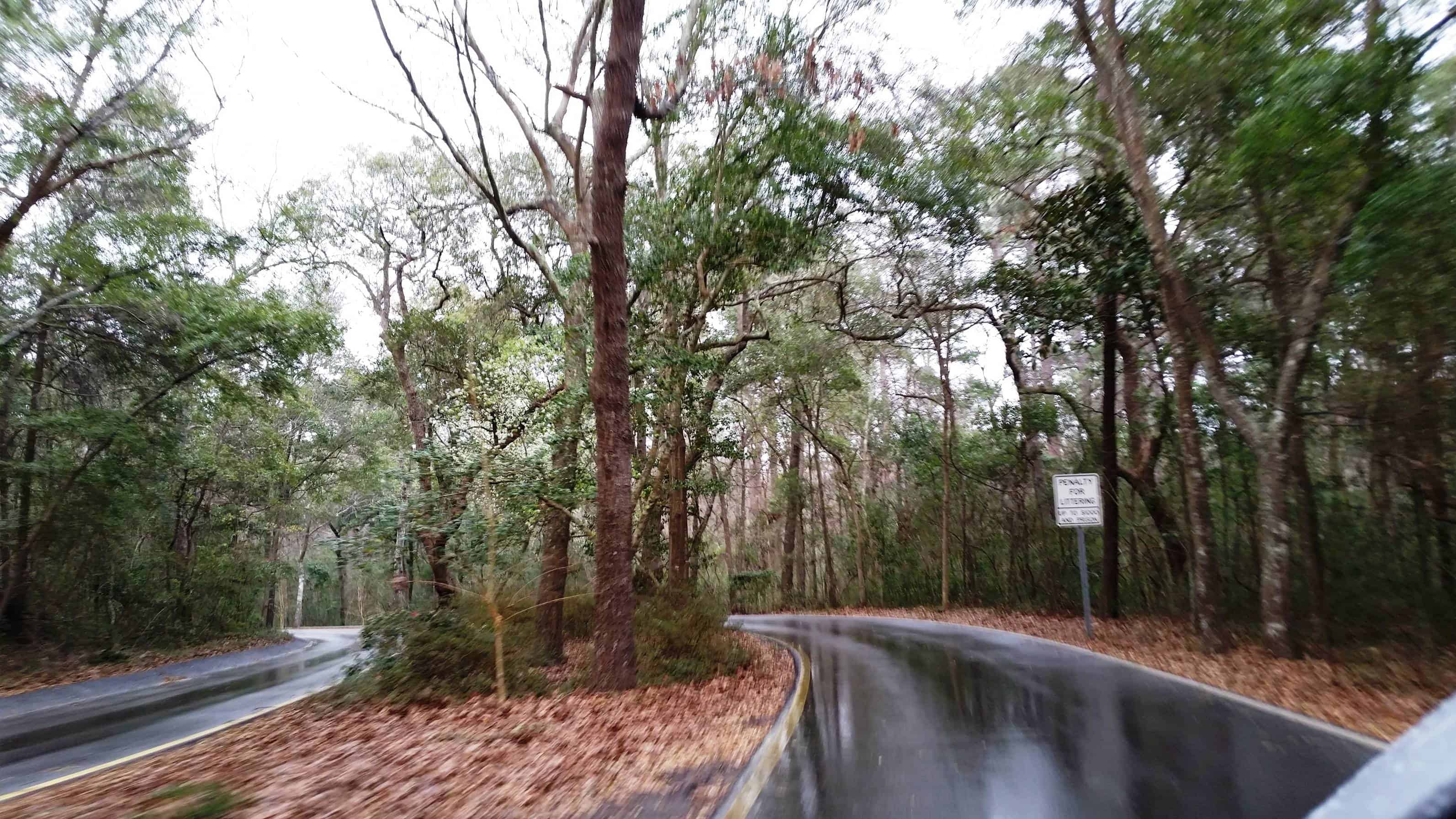 Myrtle Beach State Park Campground