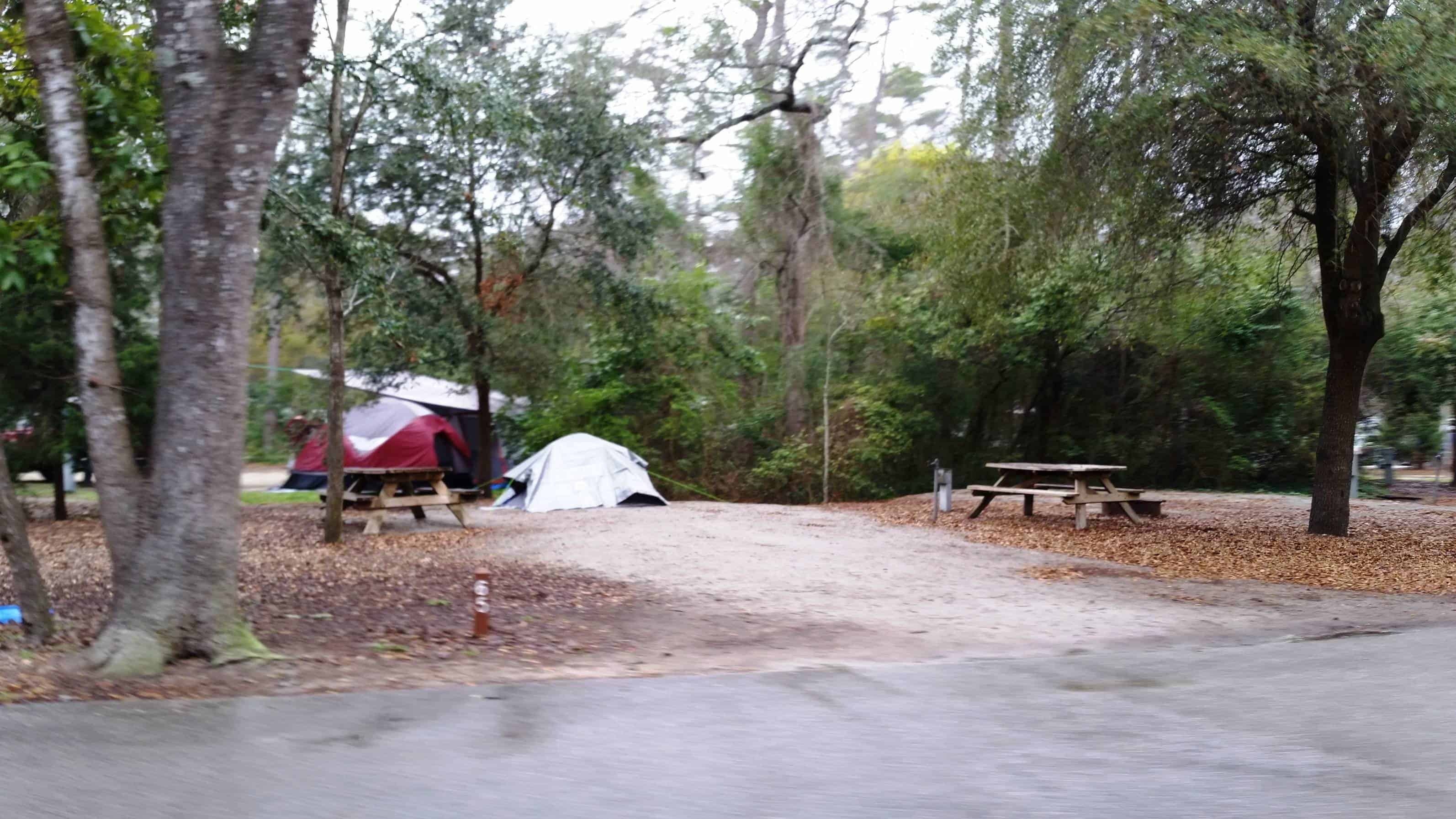 Myrtle Beach State Park Campground