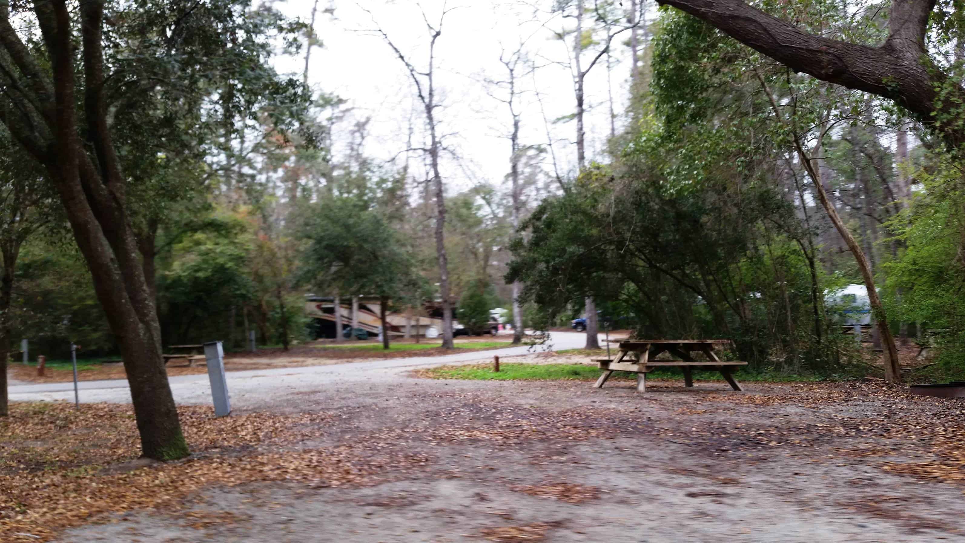 Myrtle Beach State Park Campground