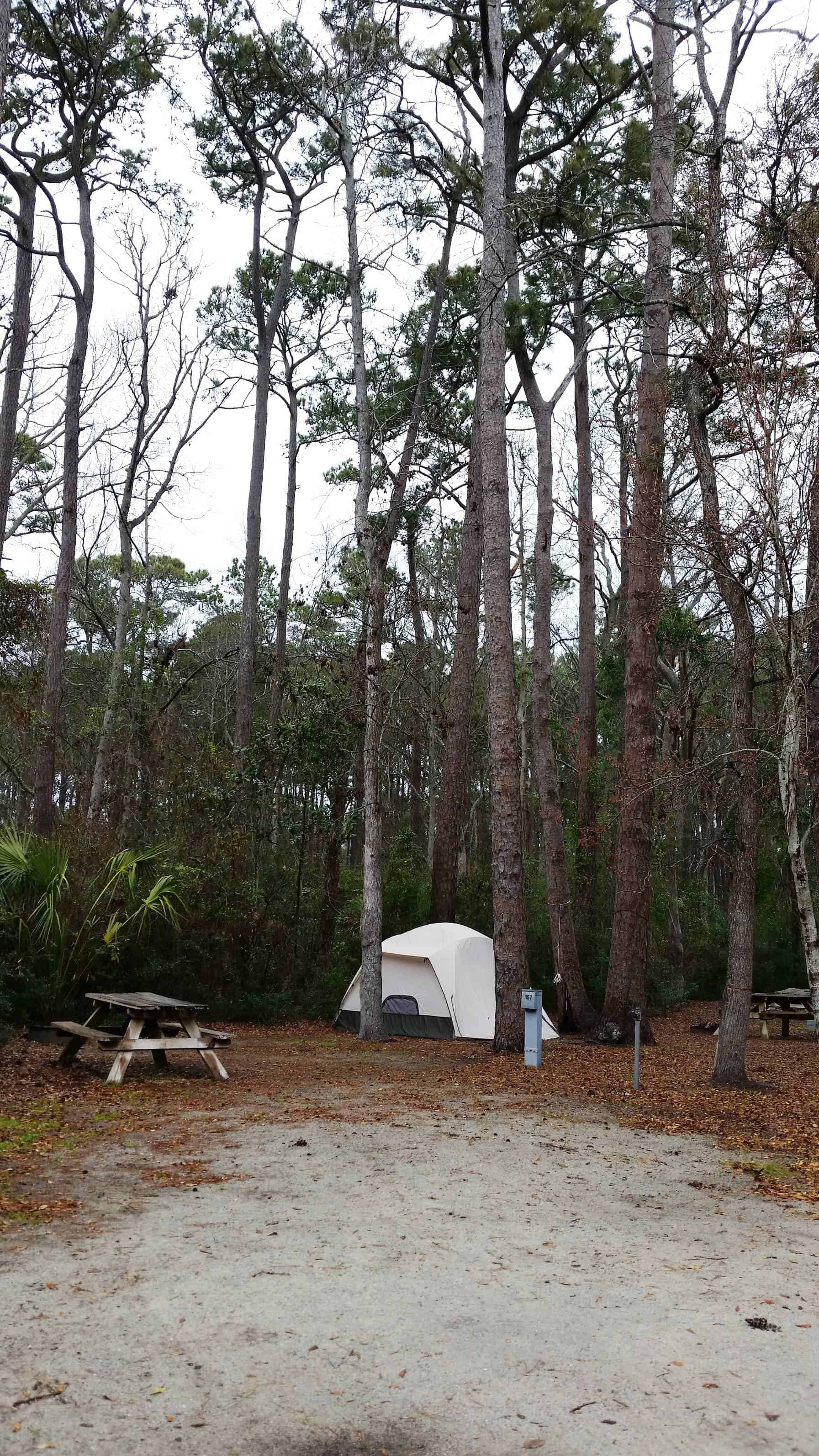 Myrtle Beach State Park Campground