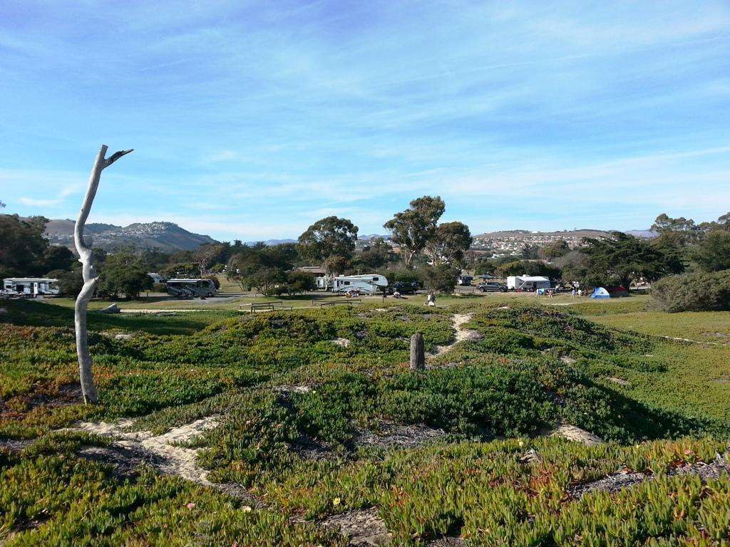 North Beach Campground at Pismo State Beach