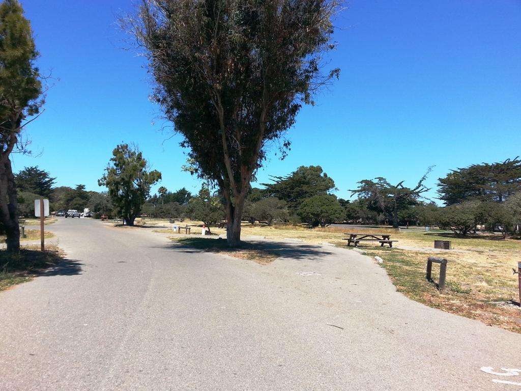 North Beach Campground at Pismo State Beach
