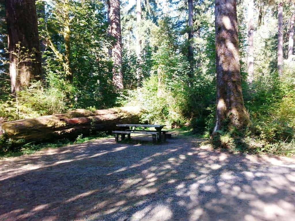 North Fork Campground