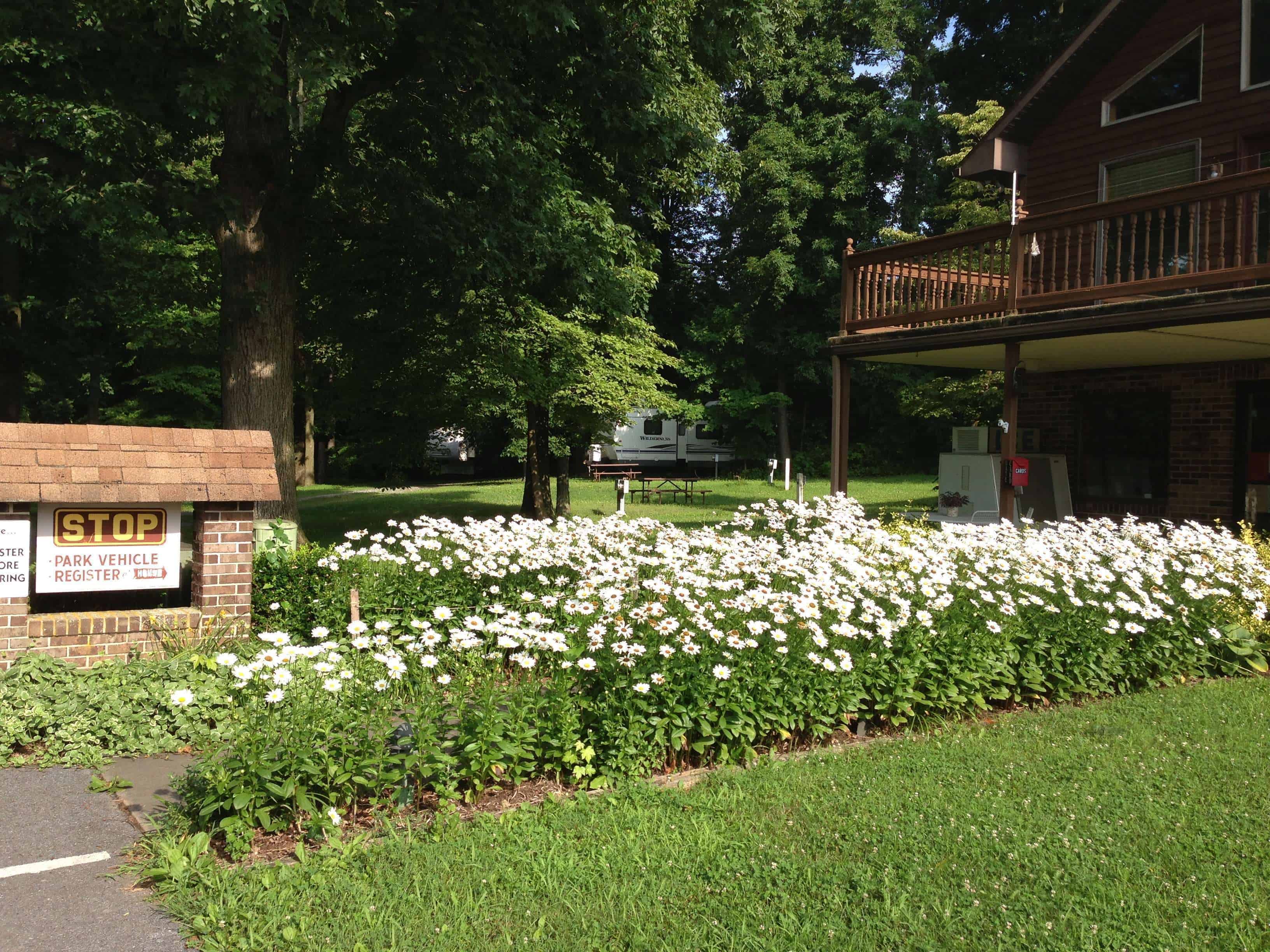 Lancaster / New Holland KOA