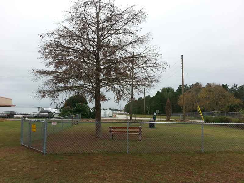 Orlando NW / Orange Blossom KOA