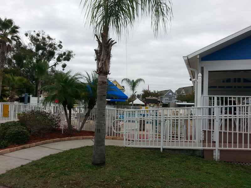 Orlando Kissimmee KOA