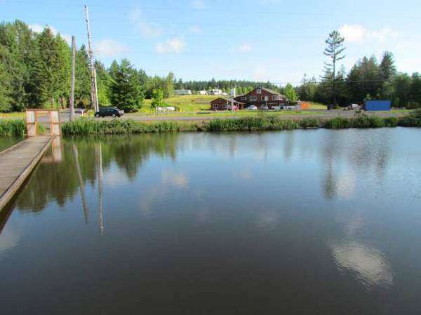Mt. St. Helens RV Resort