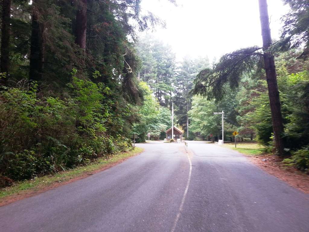 Patrick's Point State Park Campground