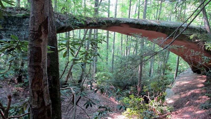 Pickett CCC Memorial State Park