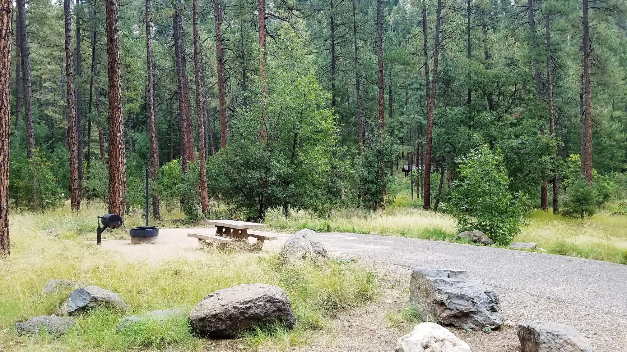 Pine Flat Campground West