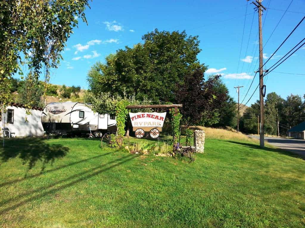 Pine Near RV Park & Campground