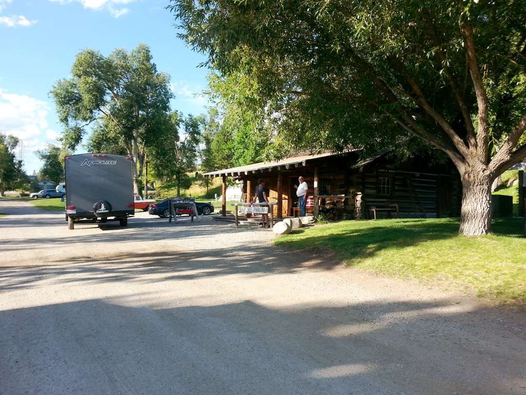 Pine Near RV Park & Campground