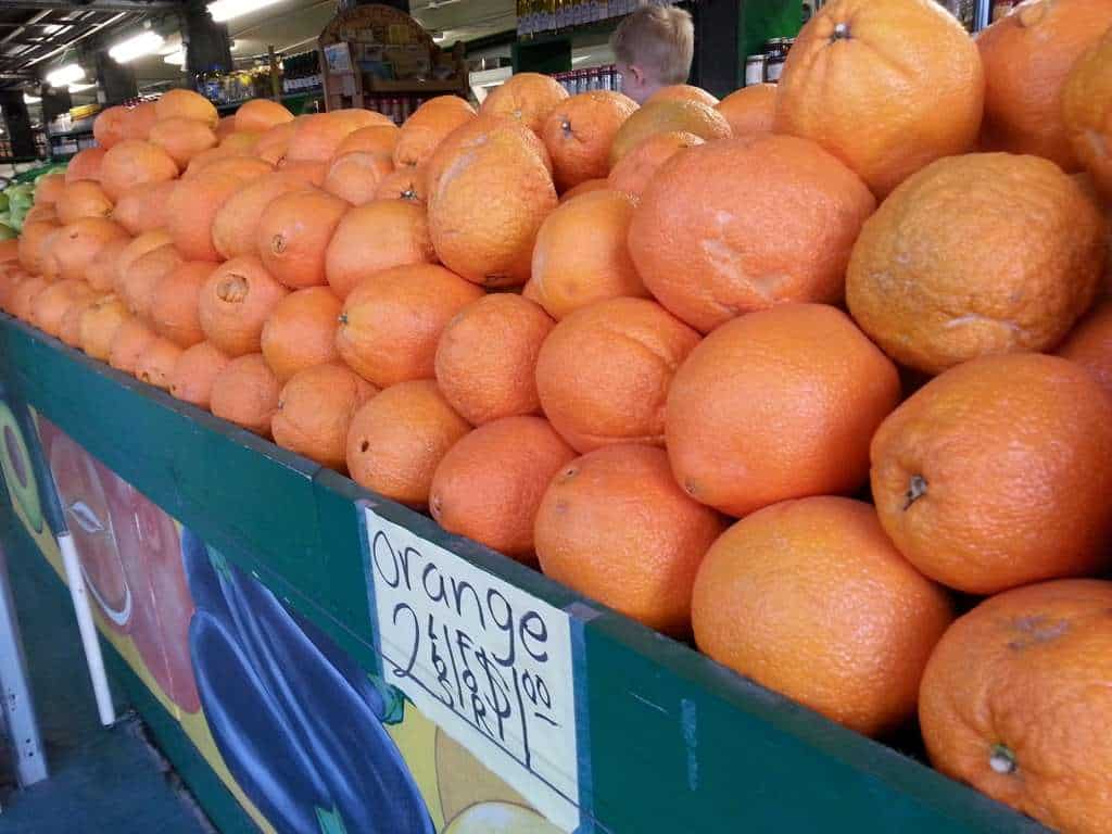 Pinto Lake Park Campground