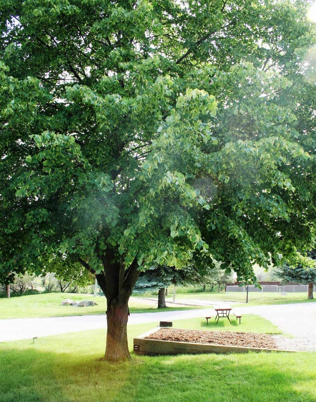 Polson / Flathead Lake KOA