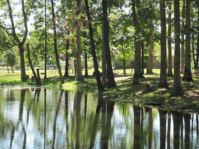 Robin Hood Woods Campground